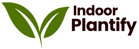 Indoor Plantify