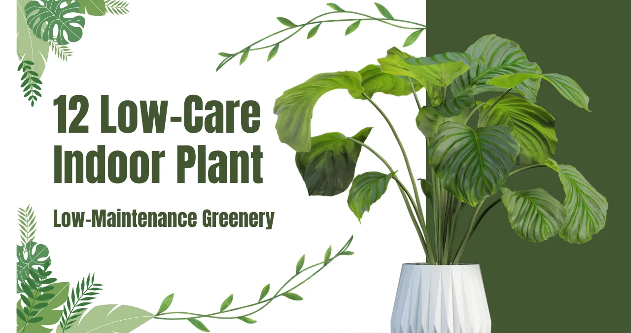 12 Low-Care Indoor Plants : That Grow Well Even When Not Intended The Best Guide for Beginners