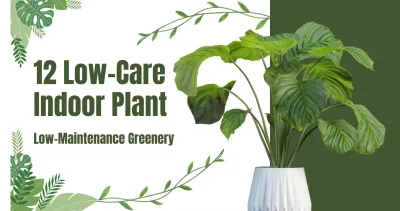 12 Low-Care Indoor Plants : That Grow Well Even When Not Intended The Best Guide for Beginners