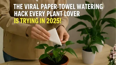 The Viral Paper-Towel Watering Hack Every Plant Lover Is Trying in 2025!