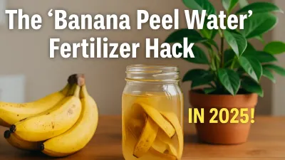 The Banana Peel Water Fertilizer Hack : Thats Reviving Indoor Plants in 2025!