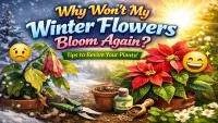 Winter Flowers Bloom Just Once — Heres What Really Happens