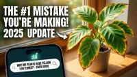 Why Indoor Plants Are Getting Yellow Leaf Edges : The Updated 2025 Google Trending Guide