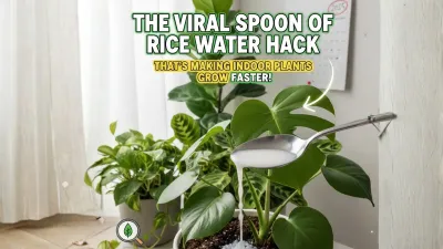 The Viral Spoon of Rice Water Hack : Thats Making Indoor Plants Grow Faster in 2025!
