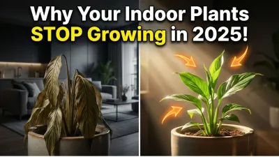 Why Indoor Plants Stop Growing : The 2025 Google-Trending Night Guide to Restarting Growth Fast