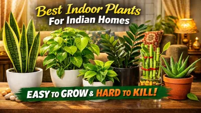 Hard-to-Kill Indoor Plants for Indian Homes | Easy Care Guide