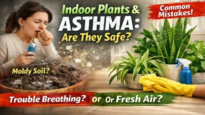 Indoor Plants Safe for Asthma Patients (Doctor-Backed Facts – 2026)