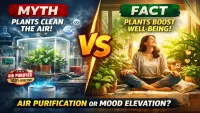 Plants That Purify Your Home Air – Myth vs. Science