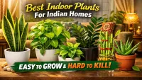 Hard-to-Kill Indoor Plants for Indian Homes | Easy Care Guide