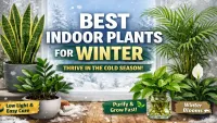 Indoor Plants That Thrive During Winter – Expert Recommendations