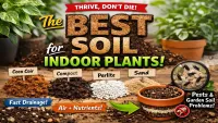Best Soil for Indoor Plants : Complete Guide for Healthy Growth (2026)