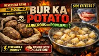 Bur Ka Potato Benefits, Uses & Side Effects (2026 Tested)
