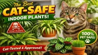 Best Pet-Safe Indoor Plants for Cats (Home Tested)