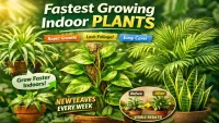 Fastest Growing Indoor Plants (Quick Results at Home)
