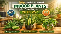 Top Trending Indoor Plants of 2025–26 for Health & Wellness