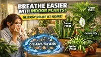 Indoor Plants That Help With Seasonal Allergies