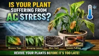 Can Indoor Plants Recover After Long AC Exposure?