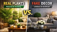 Indoor Plants That Increase Home Value & Aesthetic Appeal