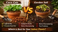 Cocopeat vs Garden Soil for Indoor Plants – Which Is Better? (2026)