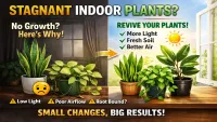 Why Indoor Plants Look Healthy but Stay Dormant