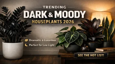 Dark & Moody Houseplants That Are Trending in 2026