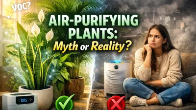 Best Air Purifying Indoor Plants (Science-Based List 2026)