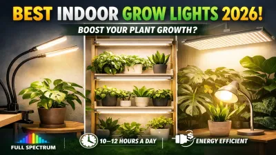 Best Indoor Grow Lights for Houseplants (2026 Full Spectrum Guide)