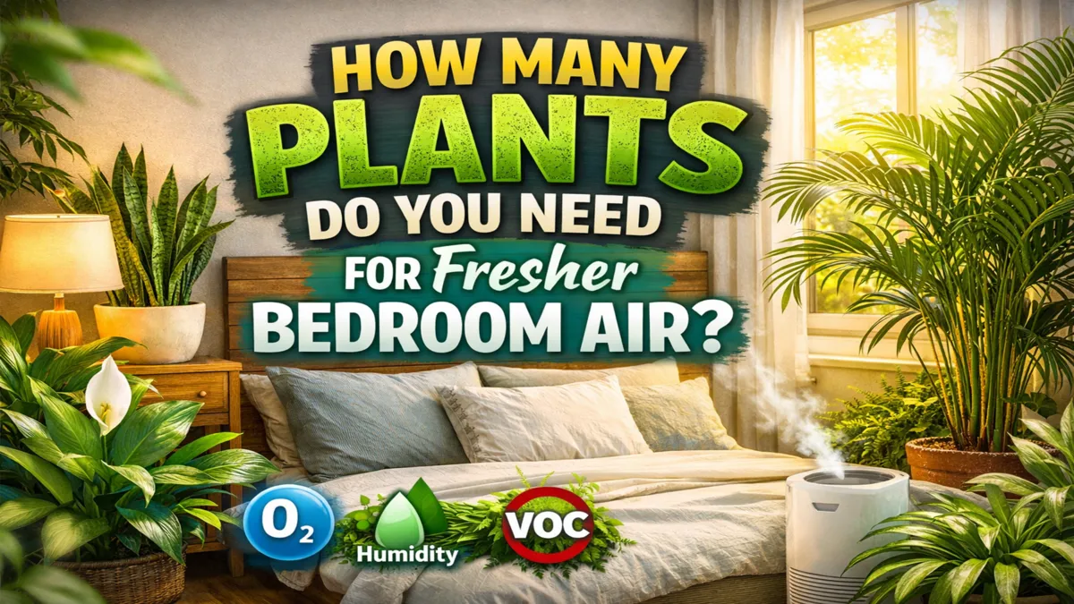 How Many Plants Do You Need in a Bedroom for Noticeable Air Improvement?