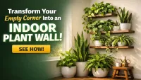 Indoor Green Corners — How to Create a Curated Plant Wall
