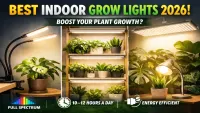 Best Indoor Grow Lights for Houseplants (2026 Full Spectrum Guide)
