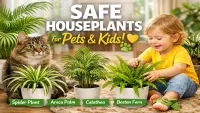 Pet-Friendly Indoor Plants That Are Also Safe for Kids
