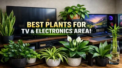 7 Indoor Plants That Thrive Near TVs and Electronics