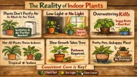 The Truth About Indoor Plants That Most People Dont Know (No One Talks About This)