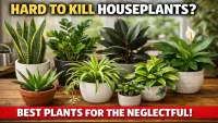10 Indoor Plants That Survive Neglect Easily (Perfect for Busy People)