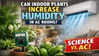 Do Indoor Plants Increase Humidity in AC Rooms? Explained