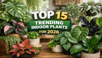 Top 15 Trending Indoor Plants 2026 – Latest Popular Houseplants Guide