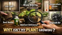 Why Indoor Plants Grow Slowly Indoors (Hidden Reasons Explained)