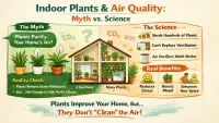 Do Indoor Plants Really Purify Air? Myth vs Science (2026 Truth)